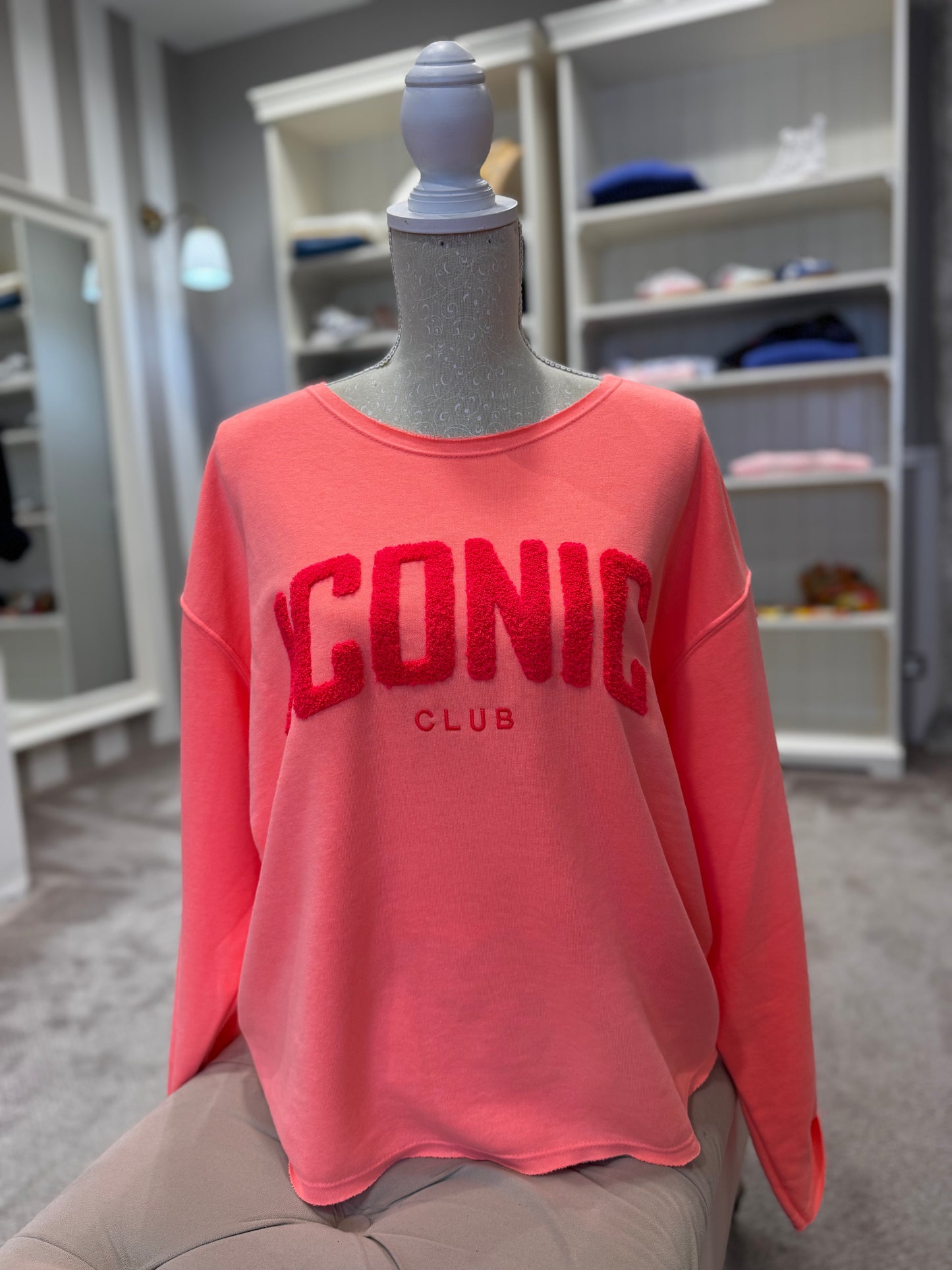 Le sweat shirt Iconic